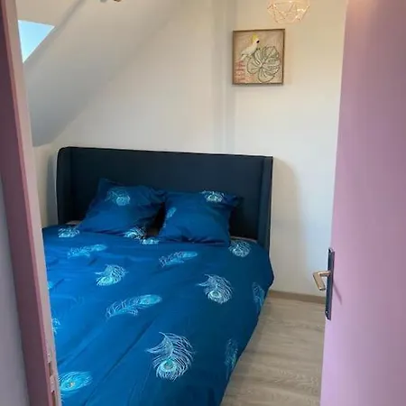 Belle Maison Renovee Avec Jardin Bien Situee Tatil Evi *